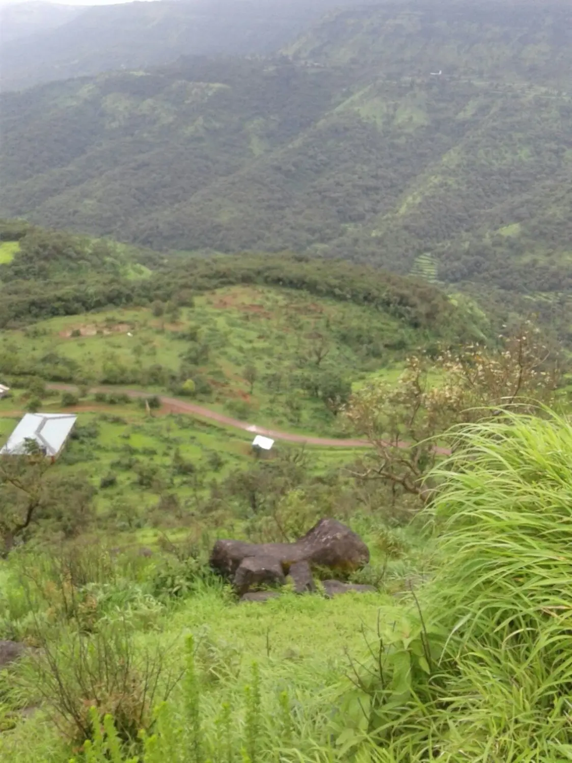 Agri Land - Mahabalehswar-Tapola