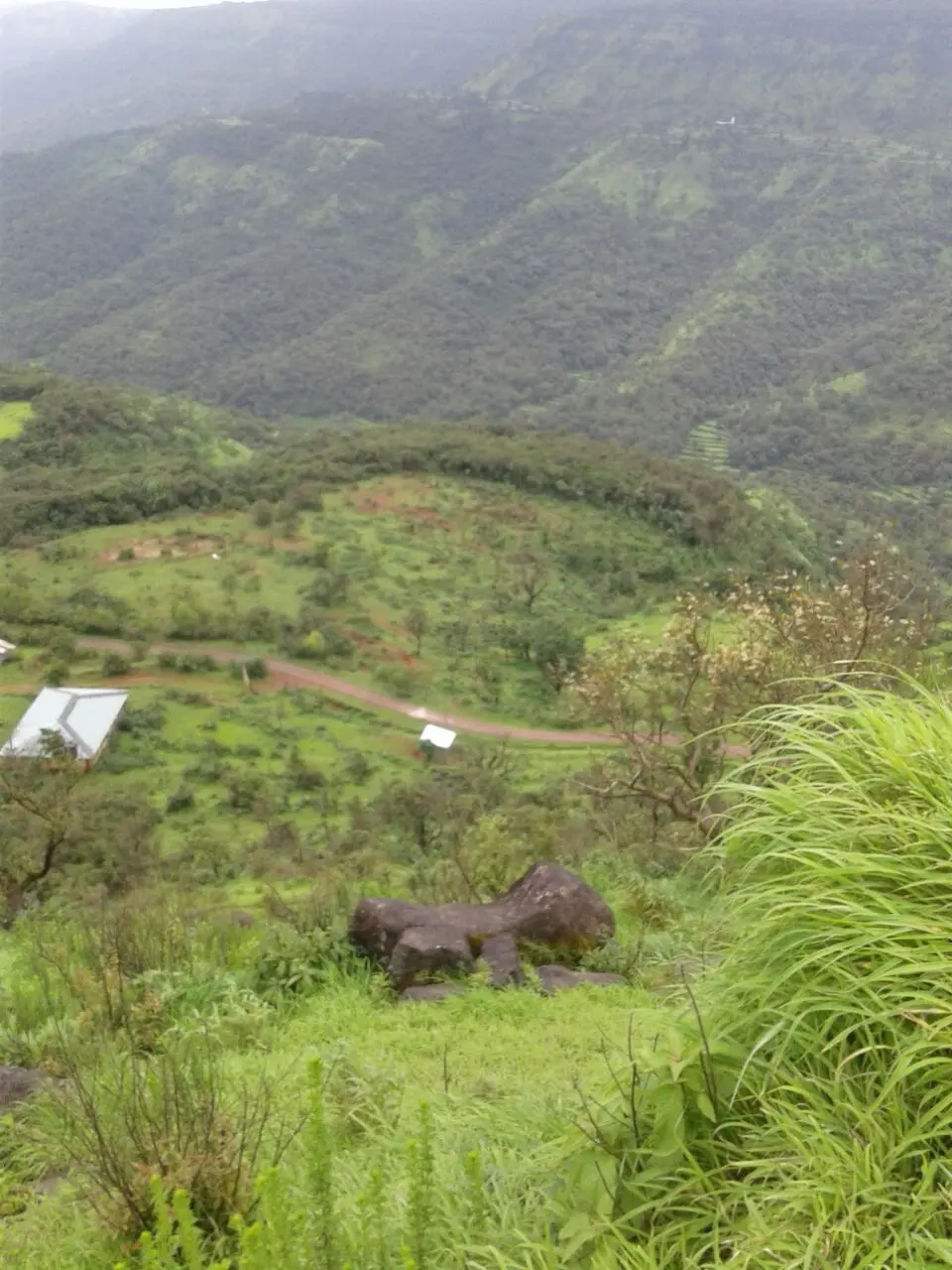 Agri Land - Mahabalehswar-Tapola