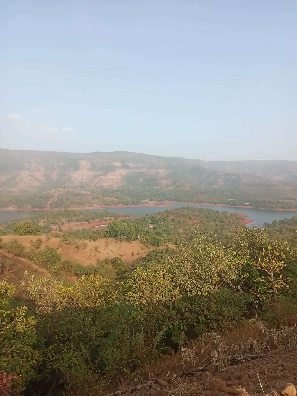 Tapola Agri land-Mahabaleshwar