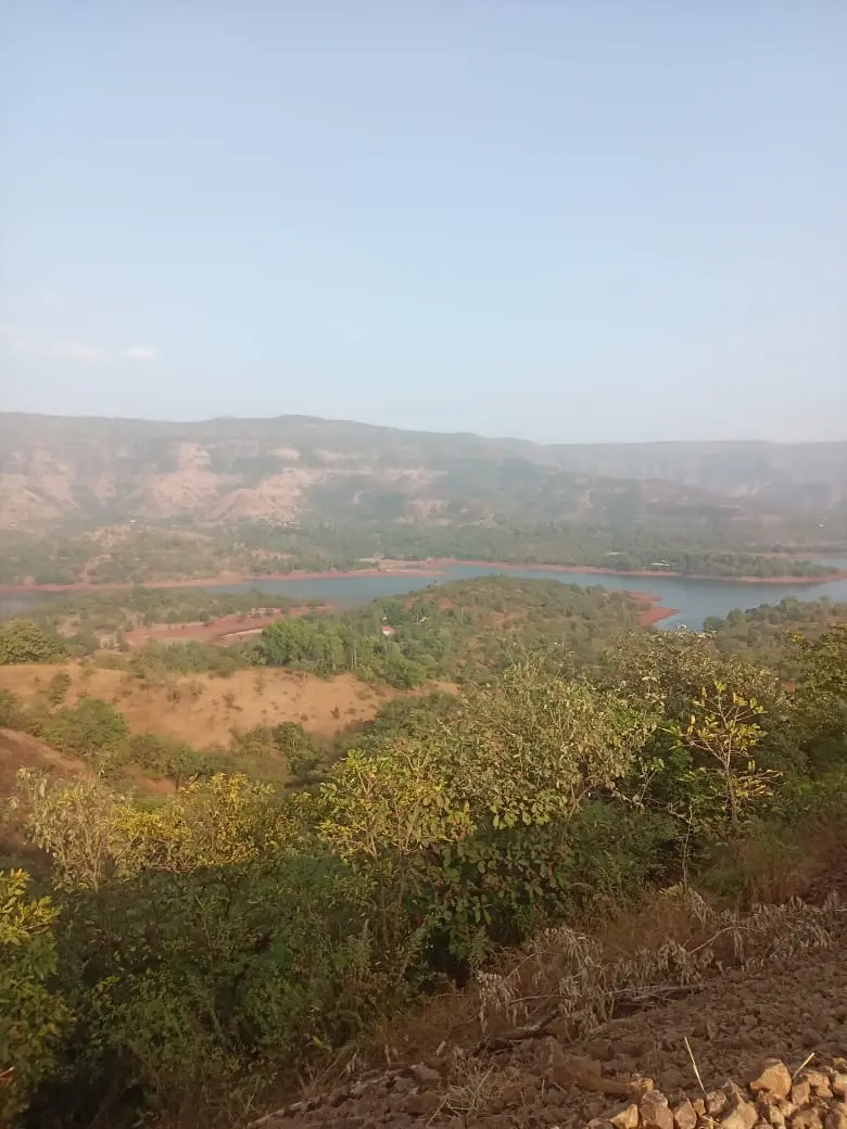 Tapola Agri land-Mahabaleshwar